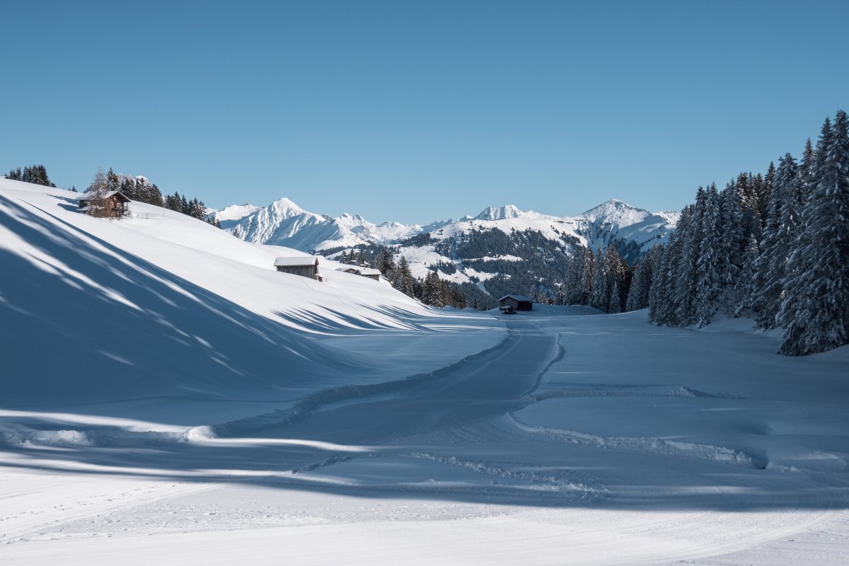 Winterlandschaft auf Danusa, Januar 2024