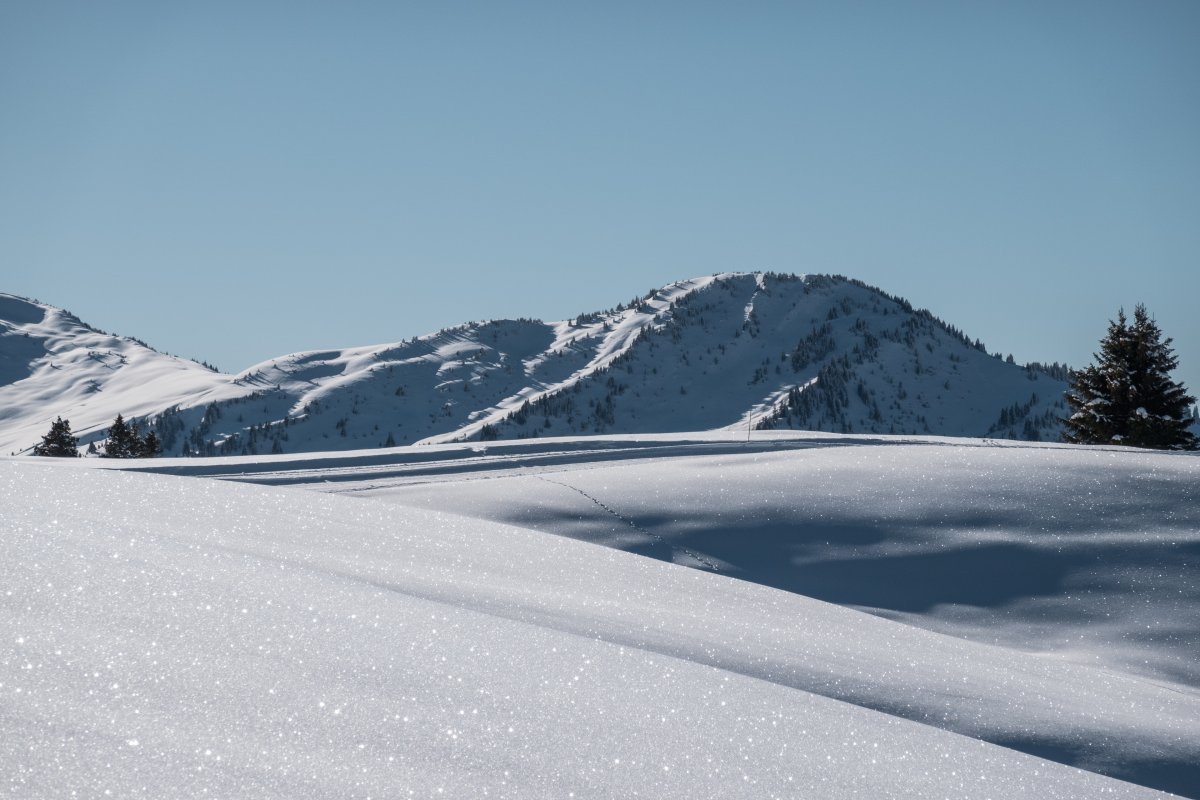 Winterlandschaft auf Danusa, Januar 2024