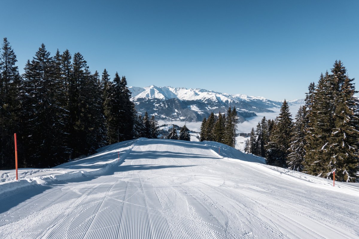 Abfahrt Herbstgaden zum Schlepplift Vacca, Januar 2024