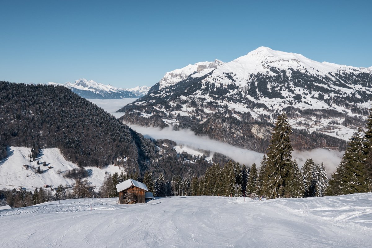 Abfahrt Herbstgaden zum Schlepplift Vacca, Januar 2024