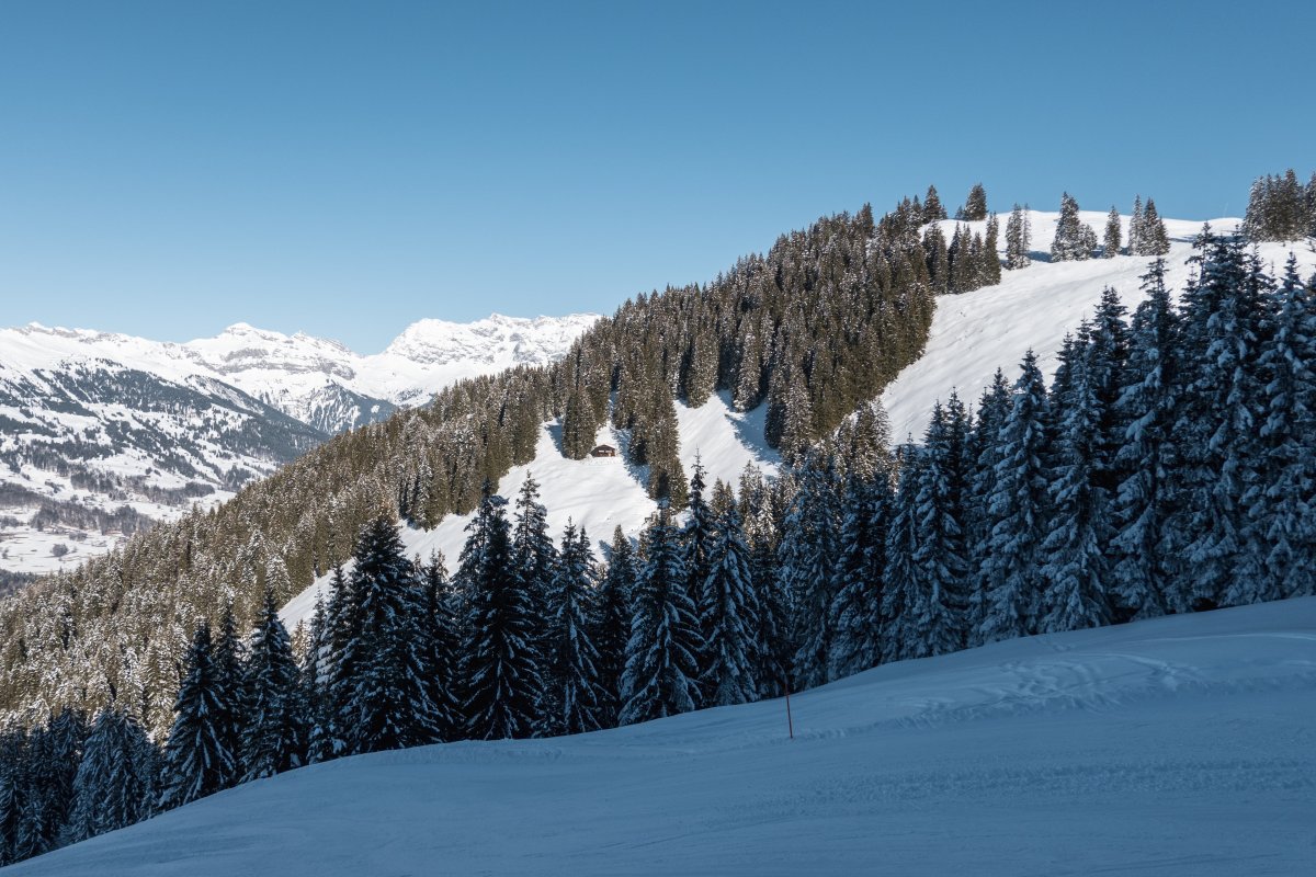 Abfahrt am Schlepplift Vacca, Januar 2024