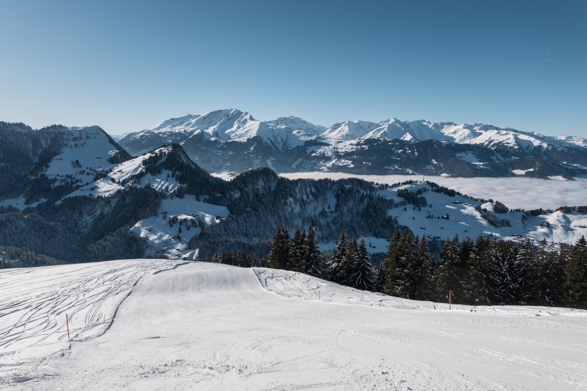 Abfahrt Herbstgaden zum Schlepplift Vacca, Januar 2024