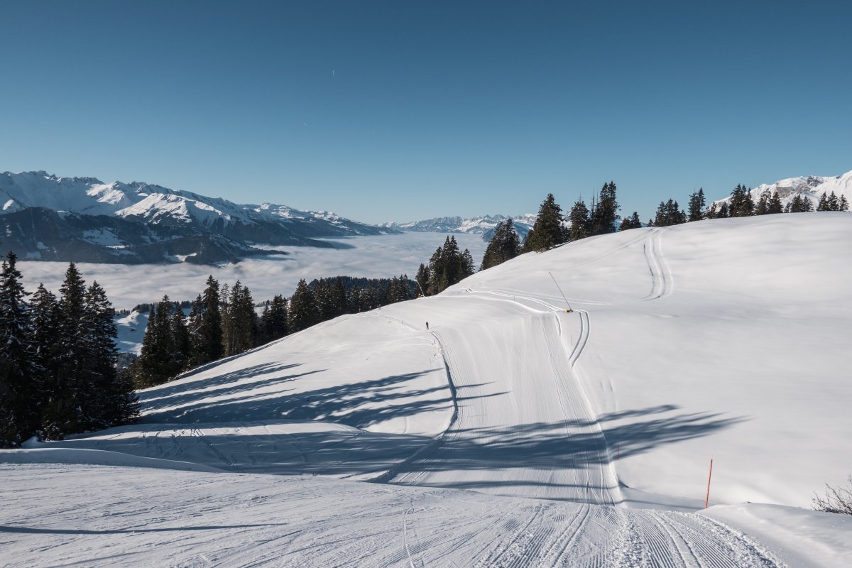 Abfahrt nach Cavadura, Januar 2024
