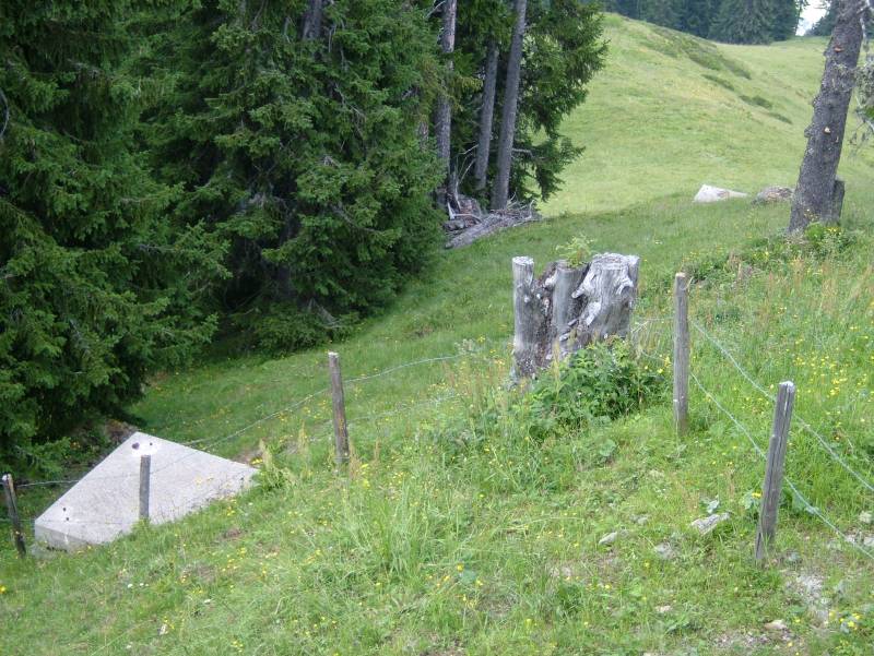 Überreste der ehemaligen Sesselbahn Abendweide, Juli 2006