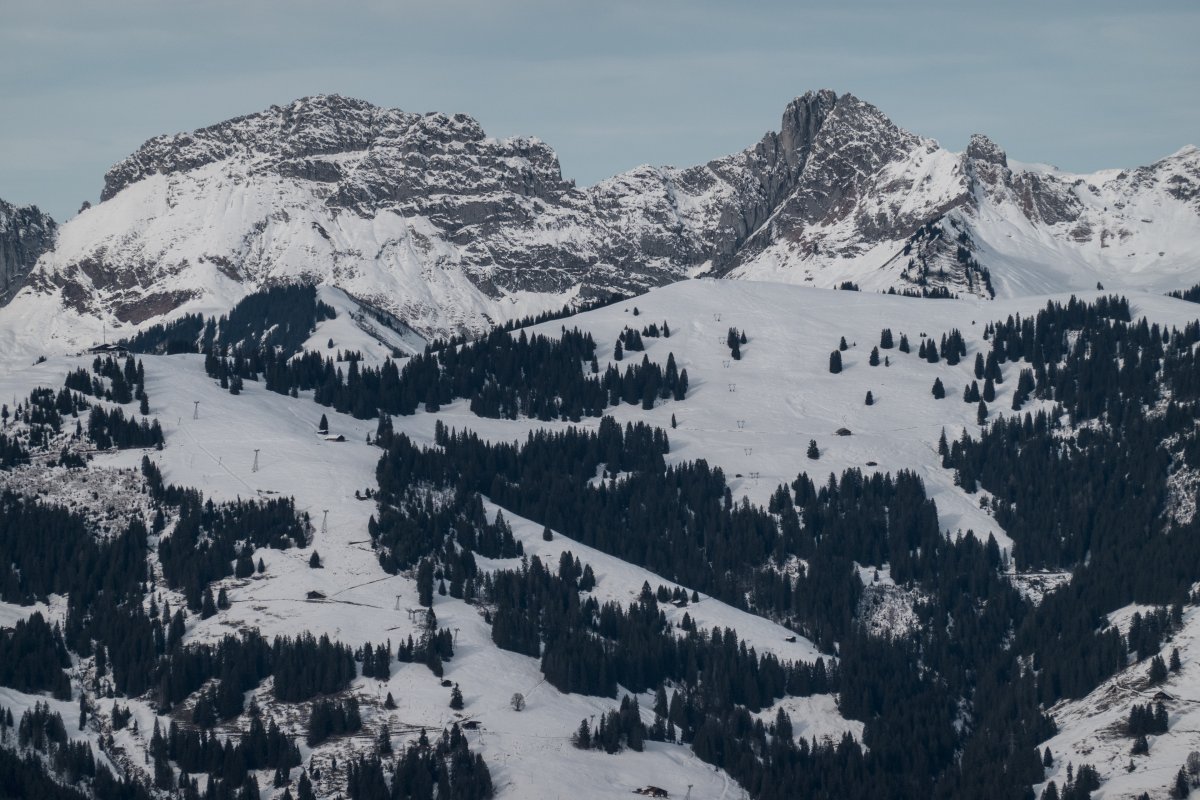 Panorama vom Wasserngrat, Dezember 2022