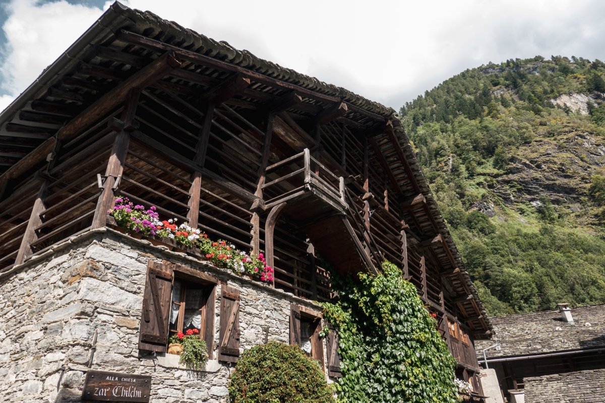 Fotogalerie FotoAnsicht •