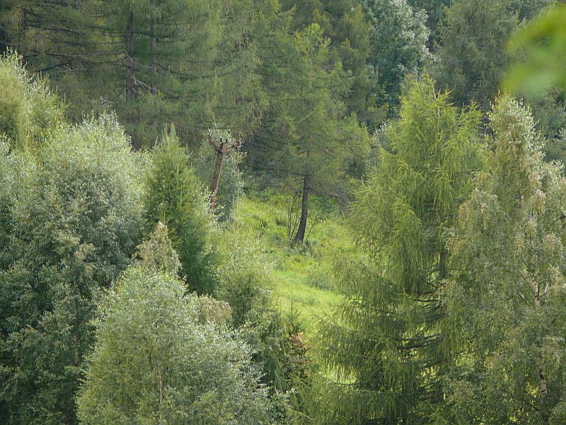 Stillgelegter Schlepplift in Aprica, August 2007