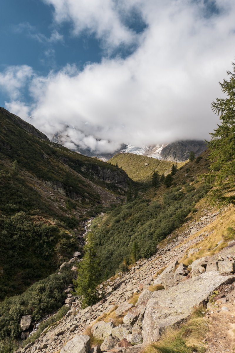 Belvedere, September 2023