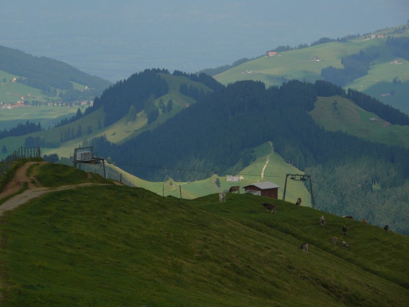 Zoom zum etwas längeren und grösseren Schlepplift Studen-Kronberg, Juli 2008