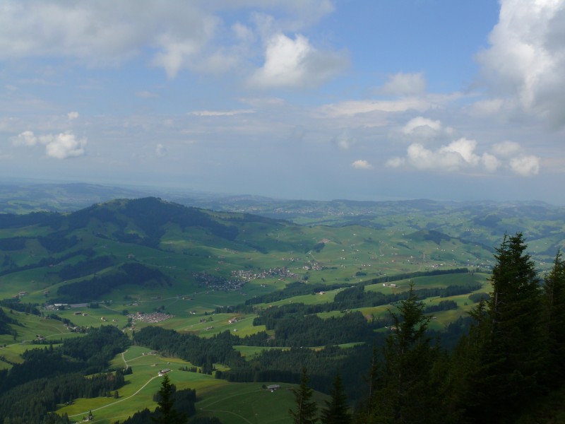 Aussicht vom Kronberg, Juli 2008