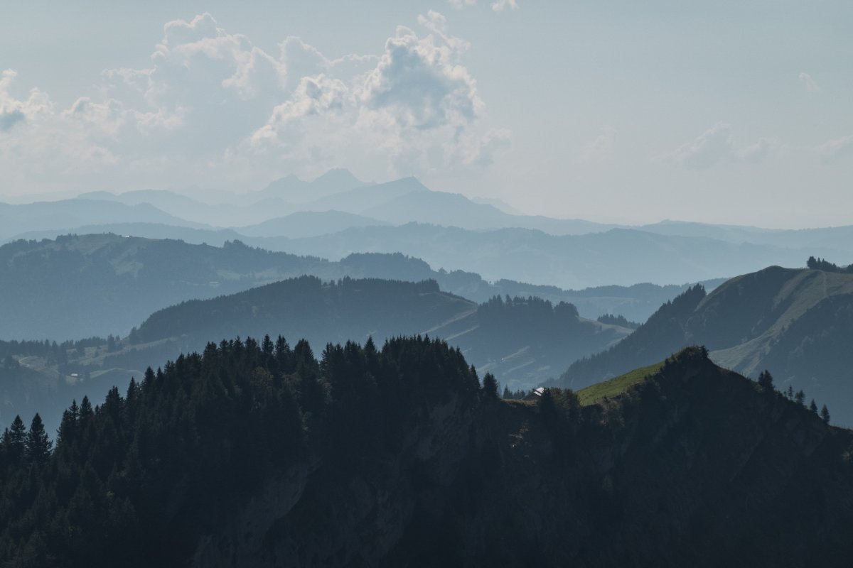 Panorama vom Kronberg