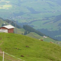 Schlepplift Studen-Kronberg, Juli 2008