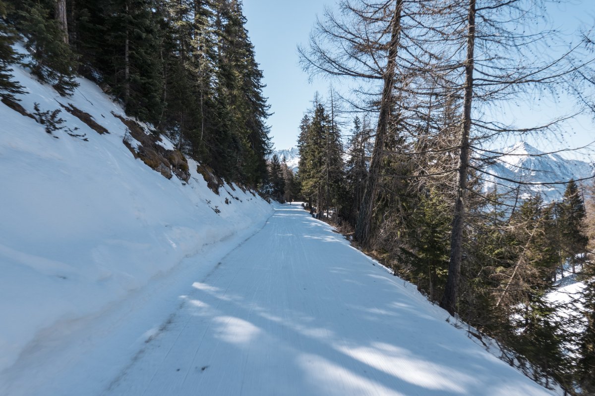 Talabfahrt nach Jeizinen auf Forststrasse