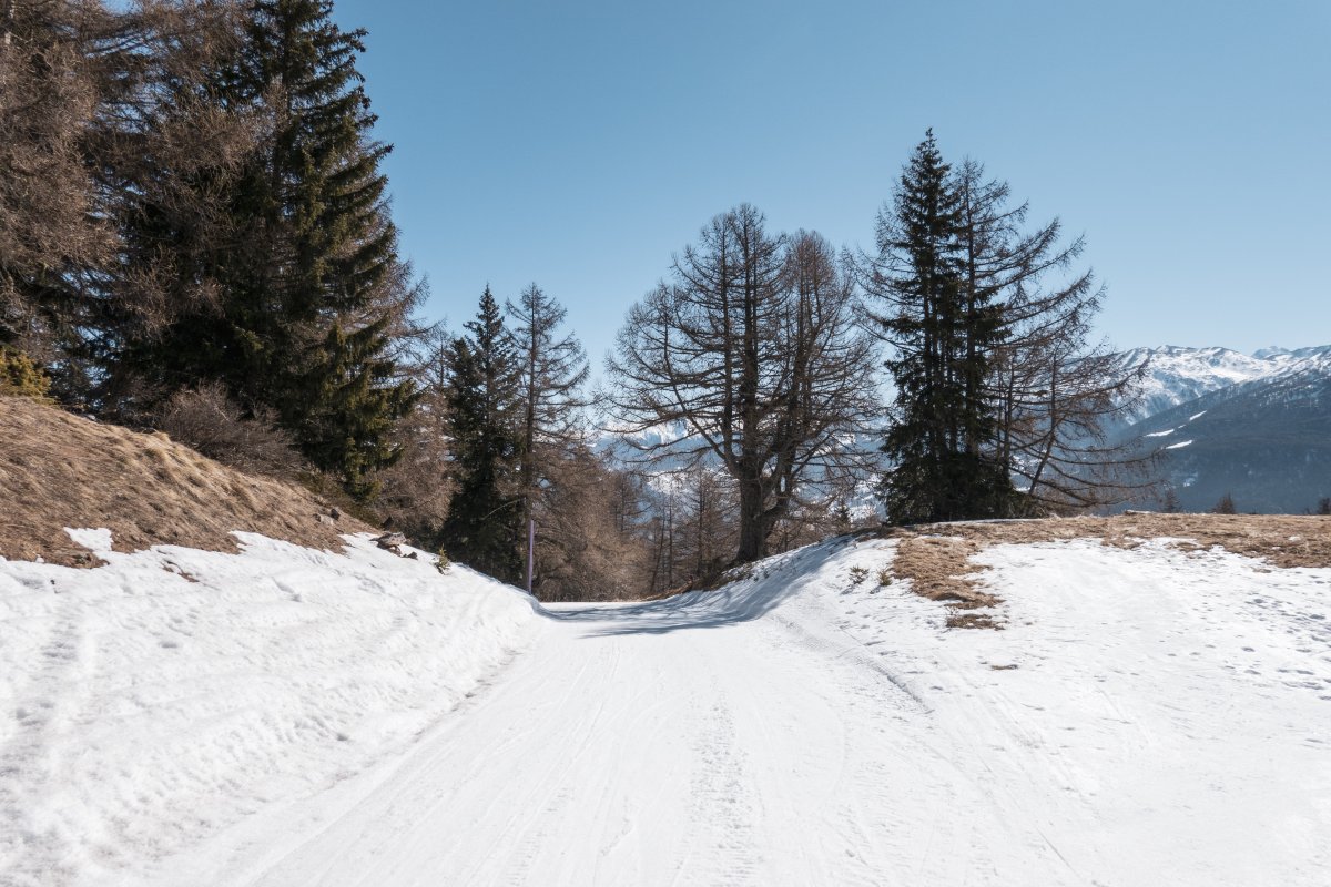 Abfahrt nach Jeizinen, März 2022