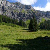 Strecke des Vorgängers des Schlepplifts Läger, Juli 2008