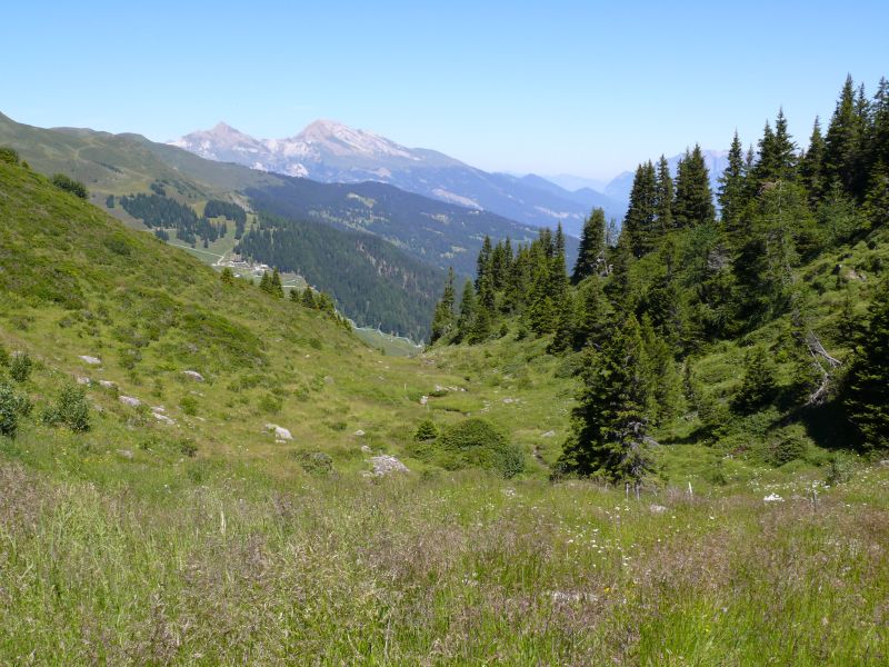 Hier startete eine Abfahrt nach Churwalden, die leider aufgeforstet wurde, August 2007