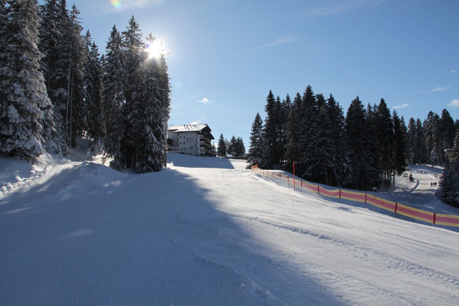 Das letzte Stück der Talabfahrt wurde leider extrem remodelliert, sämtliche Bäume und Kuppen wurden bei dieser Übung entfernt, Dezember 2010