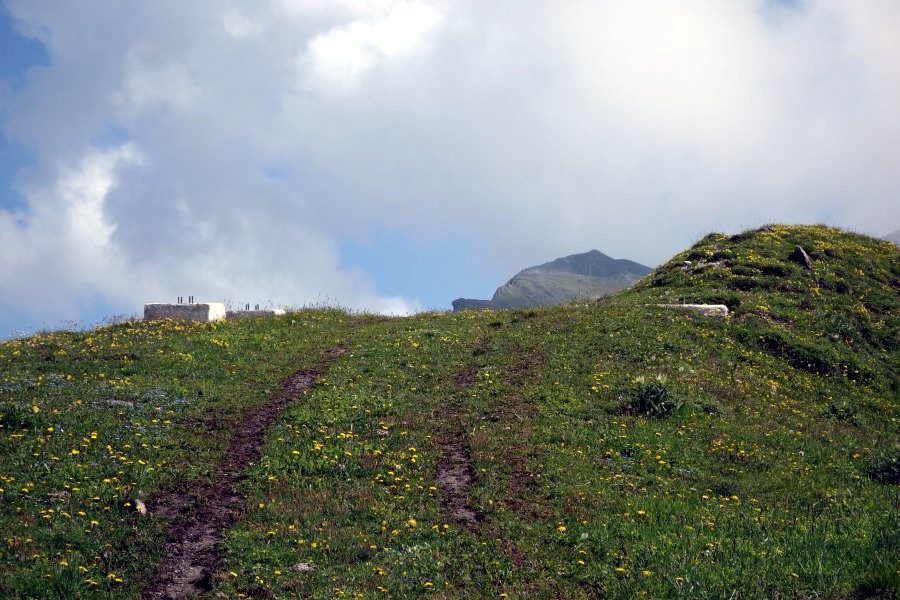 Fundamente von Stütze 4 des Schlepplifts Weisshorn 2, Juli 2013