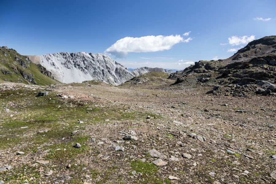 Totälpli unterhalb des Parpaner Rothorns, August 2014