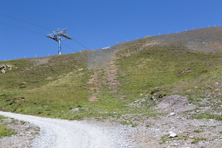 Ehemalige Trasse des Schlepplifts Weisshorn 2, August 2014