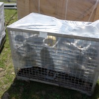 Klemmen der Sesselbahn Motta-Schwarzhorn, Juni 2013