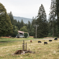 Schlepplift Les Hauts Geneveys-Tête de Ran, August 2023
