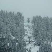 Strecke der Sesselbahn Tête d'Aï, März 2008