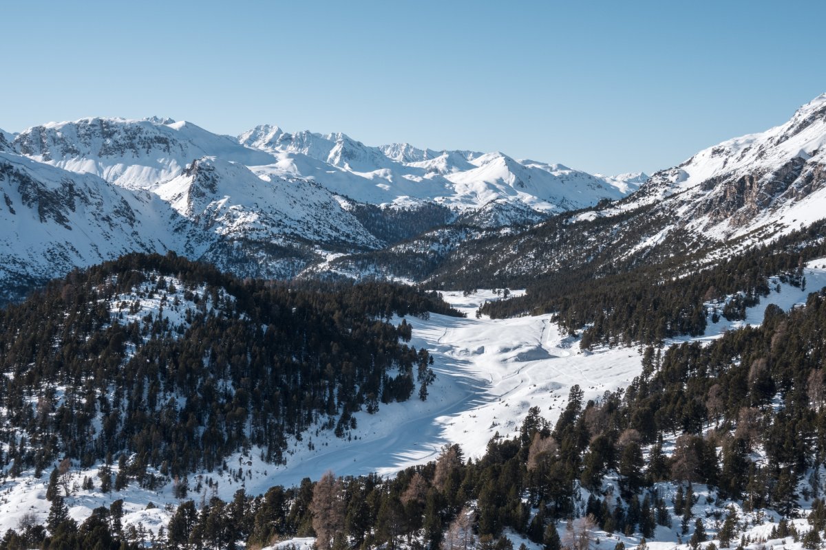 Landschaft am Ofenpass am Schweizer Nationalpark im Winter