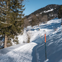 Piste und Weg zum Schlepplift Ochsenberg, Dezember 2024