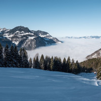 Piste am Schlepplift Ochsenberg, Dezember 2024