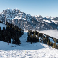 Abfahrtsroute am Schlepplift Schilt, Dezember 2024