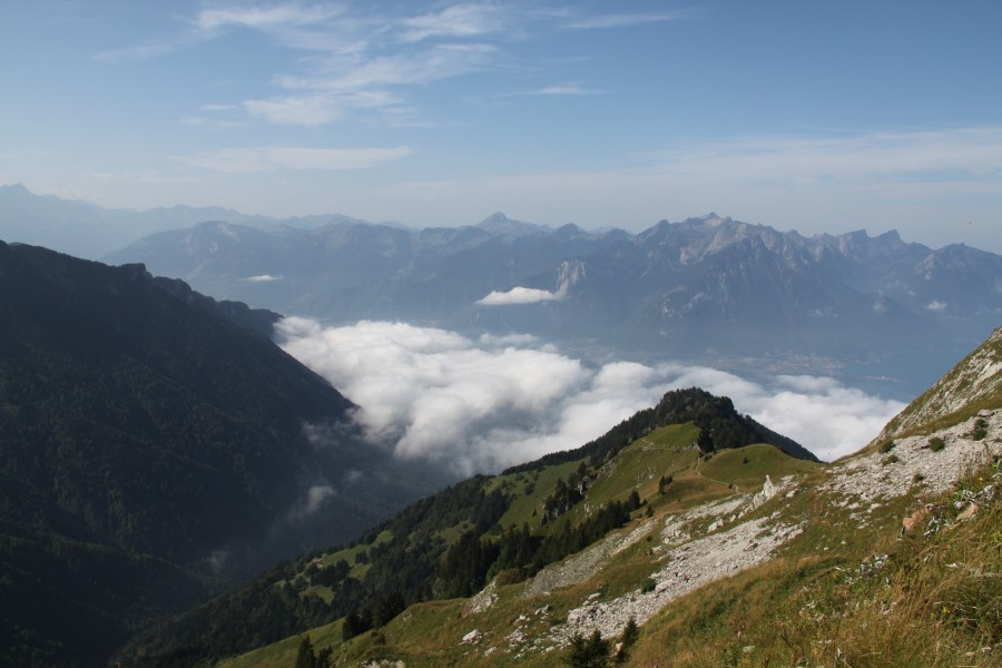 Aussicht von den Rochers de Naye nach Süden, August 2011