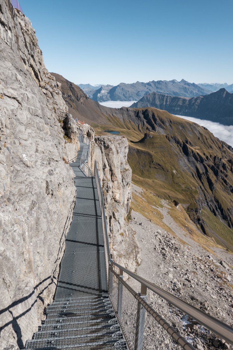 Thrill Walk unter der Station Birg, Oktober 2021