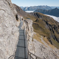 Thrill Walk unter der Station Birg, Oktober 2021