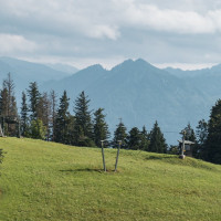 Schlepplifte auf dem Pfänder, August 2021
