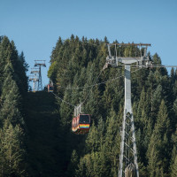 Gruppenumlaufbahn Fieberbrunn-Streuböden, September 2023