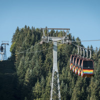 Gruppenumlaufbahn Fieberbrunn-Streuböden, September 2023