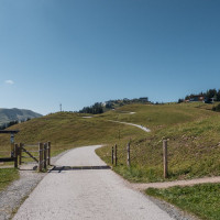 Panorama vom Hahnenkamm, September 2023