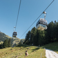 Kabinenbahn Pletzeralm-Hornköpfl, September 2023