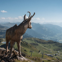 Panorama vom Kitzbüheler Horn, September 2023
