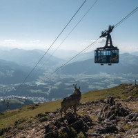 Luftseilbahn Pletzeralm-Kitzbüheler Horn, September 2023