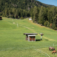 Schlepplift Taxermoos, September 2025