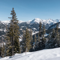 Panorama vom Grafenberg, März 2023