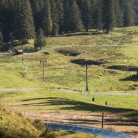 Schlepplift Fräkmüntegg mit Rodelbahn, Oktober 2022
