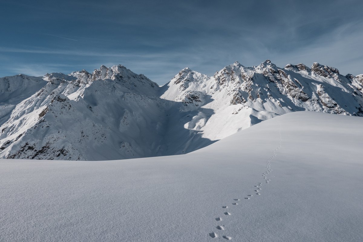 Spuren im Schnee am Pizol