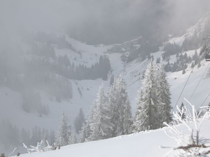 Strecke Sesselbahn Tête du Tronchey, März 2008