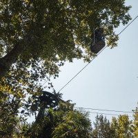 Korblift Jardim Zoológico in Lissabon, August 2025