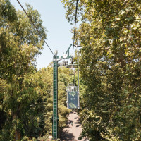 Korblift Jardim Zoológico in Lissabon, August 2025