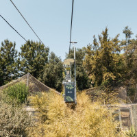 Korblift Jardim Zoológico in Lissabon, August 2025