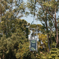 Korblift Jardim Zoológico in Lissabon, August 2025